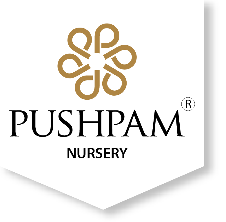 Pushpam Nursery